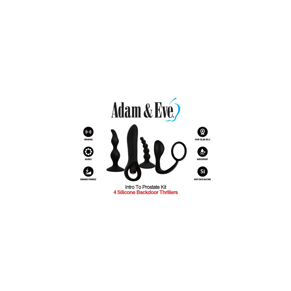 Adam & Eve Intro To Prostate Kit