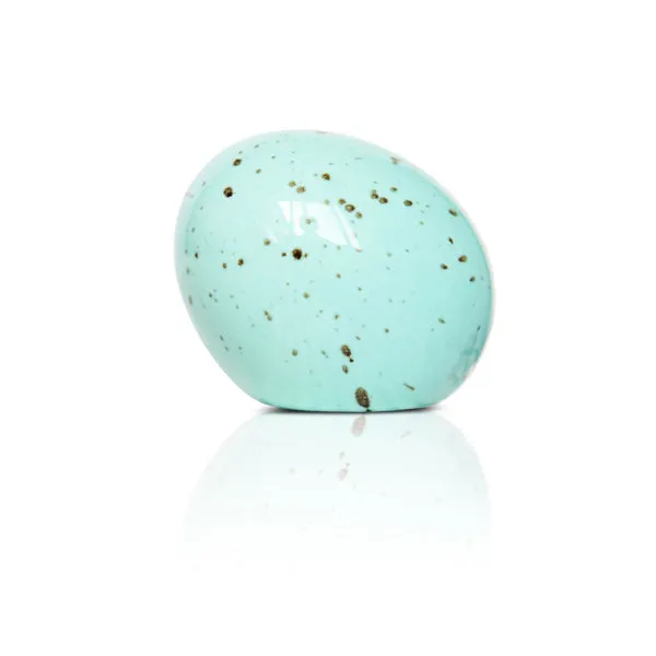 Nora Fleming Eggstra-ordinary Mini A426