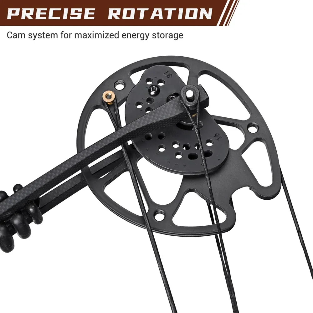 TheLAShop Adults Compound Bow and Arrows(12) Archery Set