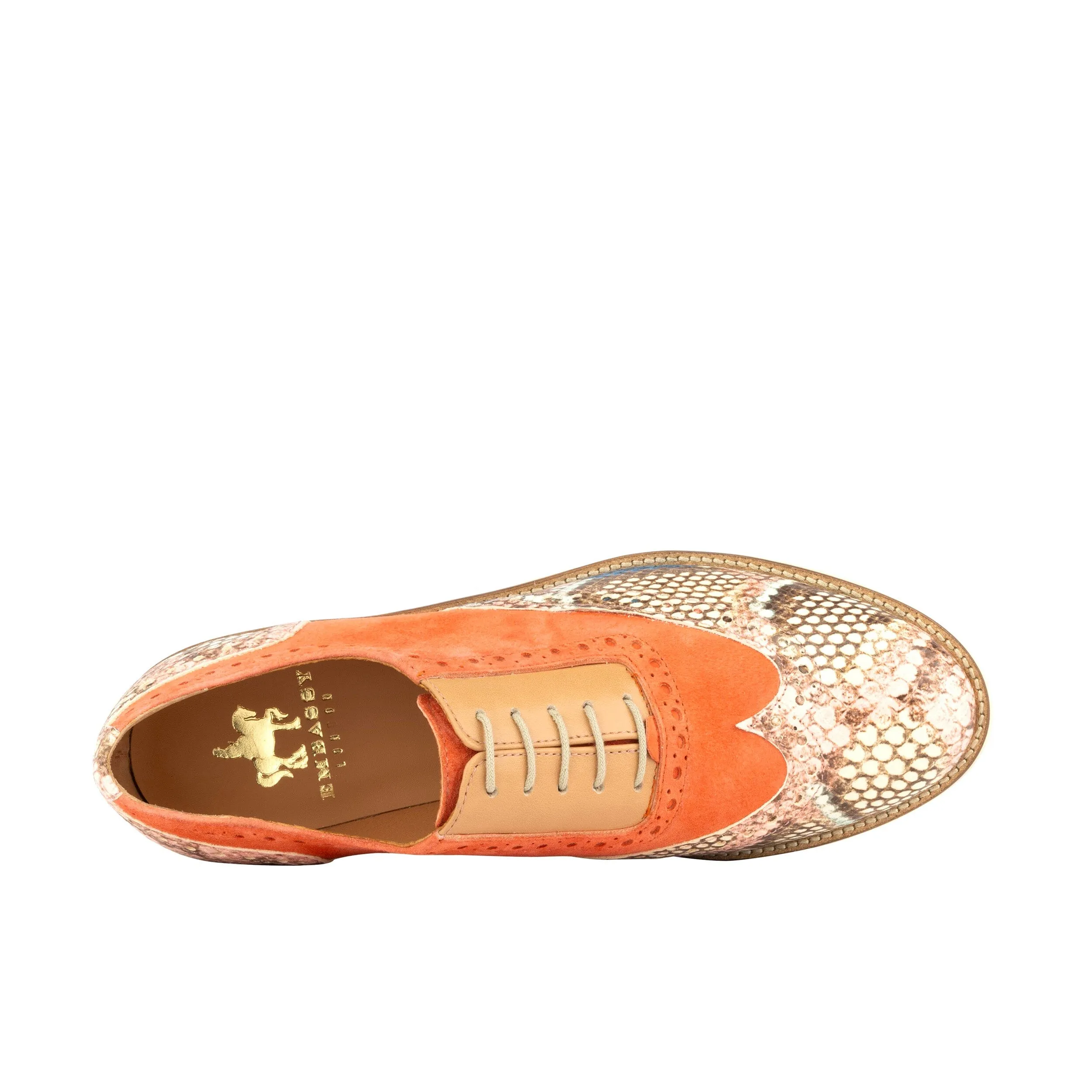 Vivienne - Coral Snake